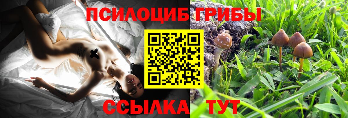 Псилоцибиновые грибы Magic Shrooms  Вход с VPN  Богородицк 